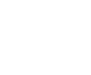 Evolution games at Play Dingo Casino