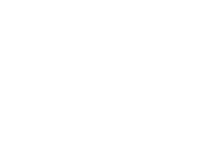 NetEnt games at Play Dingo Casino